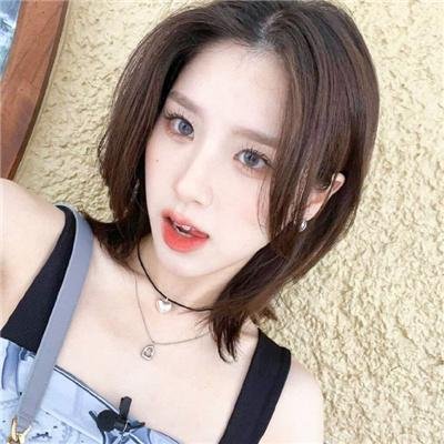 完美的主人